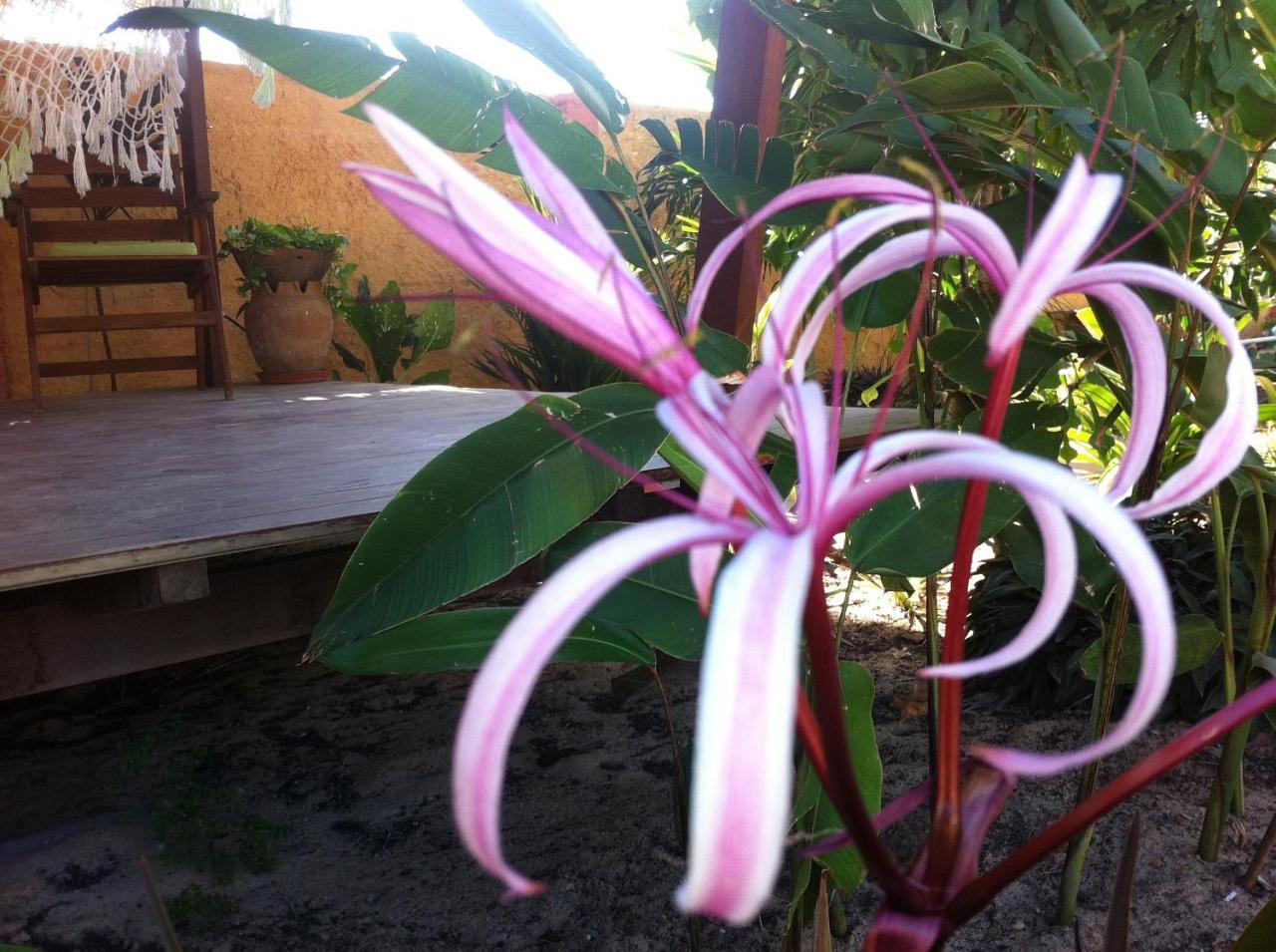 Casa Do Jardim Bed and Breakfast Canoa Quebrada Exteriör bild